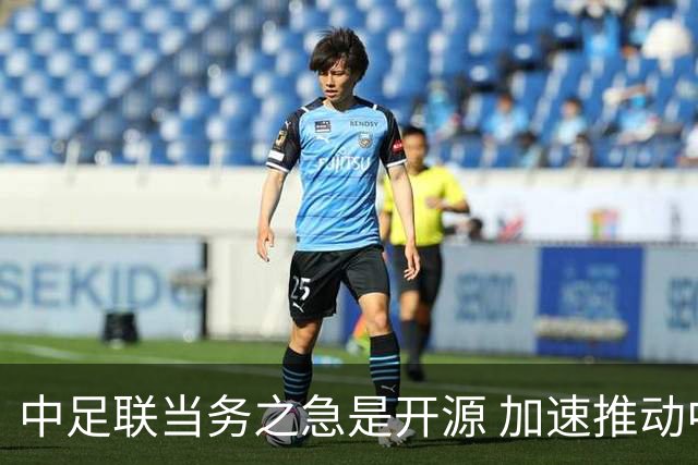 中足联当务之急是开源 加速推动中国足球职业化